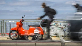 Der neue Schwarm der Großstadt