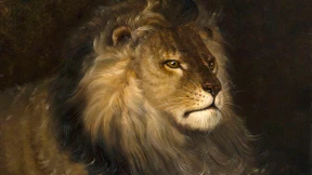 Lasst mich den Löwen auch noch spielen