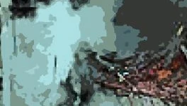 Einer muss schließlich immer vor Gericht