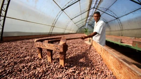 Die Rendite ist auch das gute Gewissen