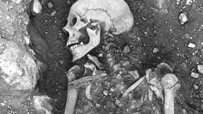 Schon die Wikinger litten unter einem Virus