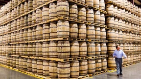 Diese Aktien gewinnen trotz Brexit-Crash hinzu