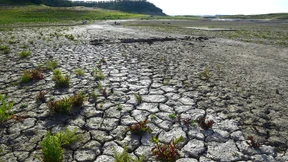 Regierungsbericht widerspricht  Trumps Klimapolitik