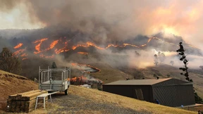 Flammenmeer verschlingt Australische Wälder