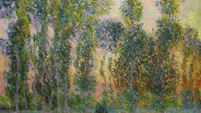 Da zittern nicht nur die Blätter der Bäume