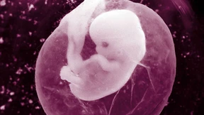 Was das Virus für Schwangere bedeutet