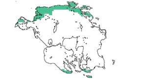 Was nicht bleiben kann