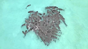 „Wir befinden uns am Rande einer unumkehrbaren Klimakatastrophe“