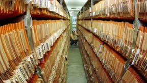 Schimmel bedroht Archive