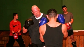 Straßenköter gegen Meisterboxer 