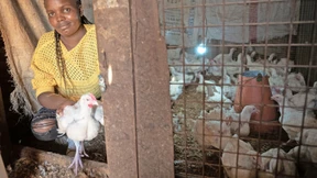 Mit einer Hühnerfarm zum Erfolg