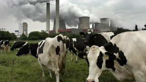 „Vieles hat nichts  mit Nachhaltigkeit  zu tun“