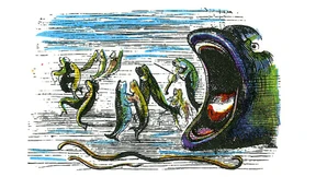 Asymmetrische Mobbilisierung