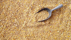 Aus der Luft gegriffen