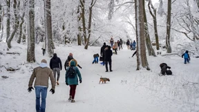 Wintereinbruch bringt Eis, Schnee und Glätte