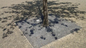 Steine statt Schneeglöckchen