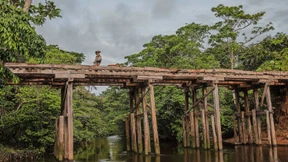 Tüfteln an Element 41