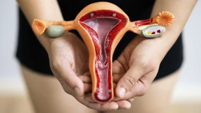 Wie der Menstruationszyklus Herz und Gehirn beeinflusst