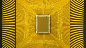 Wer schafft ein Menschenhirn?