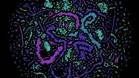 Künstlicher Go-Spieler scheitert am Quantencomputer