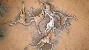 Versiegte Wasserquellen