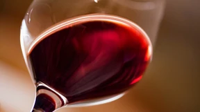 Diese Begriffe helfen Ihnen beim Weinkauf