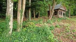 Waldbadezimmer, Schwebebalken und Barfußpfad