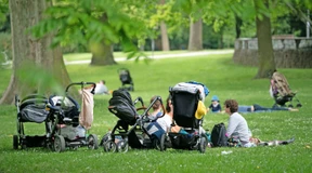 Die Riester-Reform muss endlich kommen