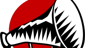 Ein Weg zur nachhaltigen Entwicklung