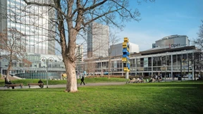 Frankfurt will trotz Verbots grüne Wallanlagen bebauen