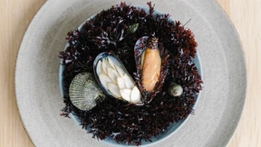 „Die meisten Zutaten sind noch nie zuvor gegessen worden“