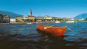 Wandernde Bäume auf dem Berg der Wahrheit
