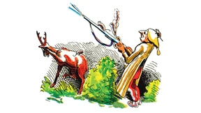 Null Bock auf die Grünen