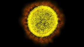 Blockade in Zellen stoppt Coronavirus