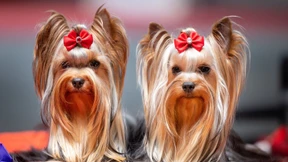 Was ist aus uns geworden? Ein Rückblick