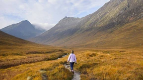 Die Herrschaft des bösen Clans der Hamiltons