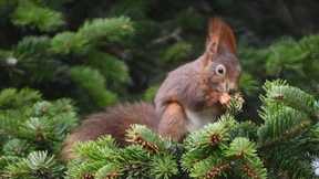 Tausche Kuhdorf gegen Großstadt