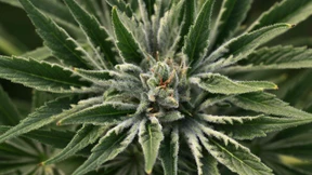 Leserbriefe vom 22. Februar 2022