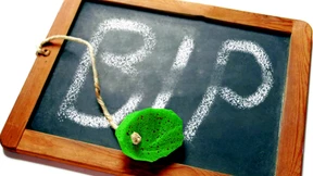 Die Grünen wollen Wohlstand neu definieren