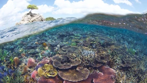 196 Länder für den Schutz der Natur