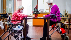 Unterm Baum mit Abstand