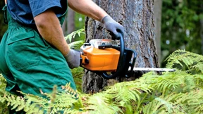 Lustige Holzhackerbuam