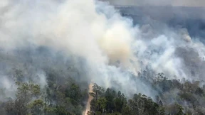 Mehr als 50 Waldbrände in Australien