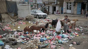 Jemens Regierung offen für Wiedereröffnung des Flughafens in Sanaa