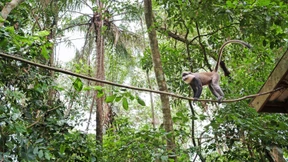 Von allen Göttern und guten Geistern verlassen . . .