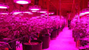 Im Land des Lächelns