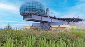 Flora in allen Teilen