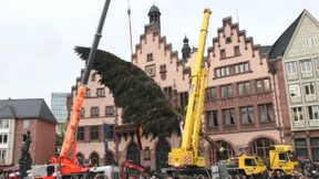 Frankfurt hat einen neuen Weihnachtsbaum
