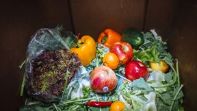 Wie weggeworfene Lebensmittel dem Klima schaden