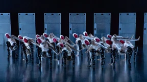 Am Rande des Metaversums